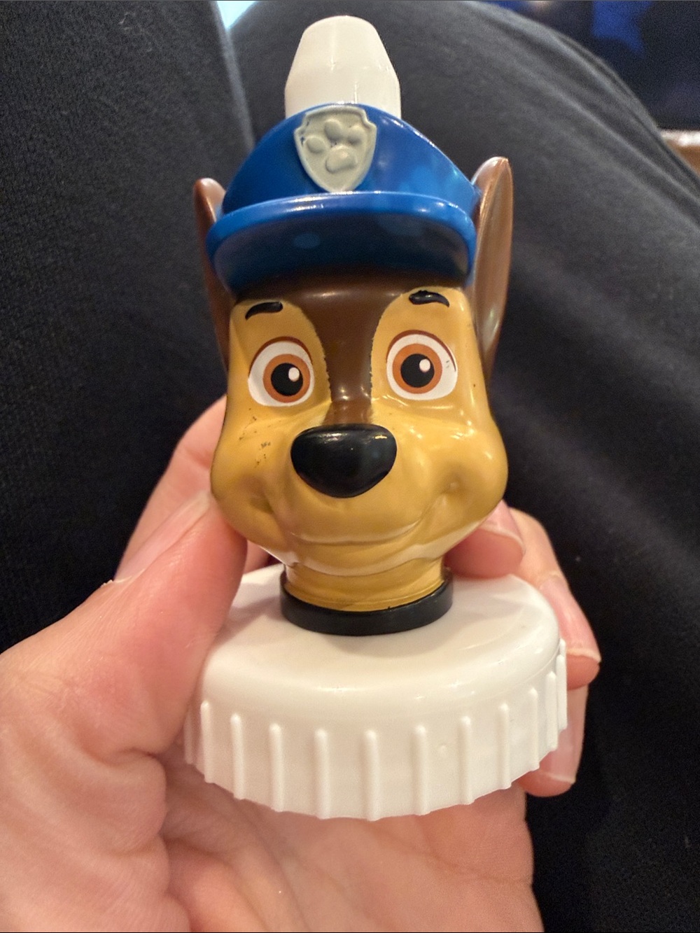 Good2grow Paw Patrol Chase